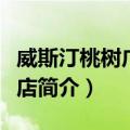 威斯汀桃树广场酒店（关于威斯汀桃树广场酒店简介）