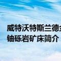 威特沃特斯兰德金—铀砾岩矿床（关于威特沃特斯兰德金—铀砾岩矿床简介）