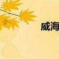 威海湾（关于威海湾简介）