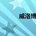 威洛博士（关于威洛博士简介）