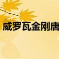 威罗瓦金刚唐卡（关于威罗瓦金刚唐卡简介）