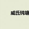 威氏钝塘鱧（关于威氏钝塘鱧简介）