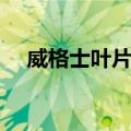 威格士叶片泵（关于威格士叶片泵简介）
