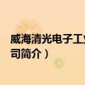 威海清光电子工业有限公司（关于威海清光电子工业有限公司简介）