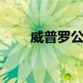 威普罗公司（关于威普罗公司简介）