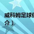 威科姆足球俱乐部（关于威科姆足球俱乐部简介）