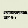 威海泰富西玛电机有限公司（关于威海泰富西玛电机有限公司简介）