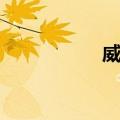 威林（关于威林简介）