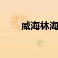 威海林海湾（关于威海林海湾简介）
