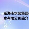 威海市水务集团矿泉水有限公司（关于威海市水务集团矿泉水有限公司简介）