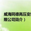 威海同德高压变频器有限公司（关于威海同德高压变频器有限公司简介）