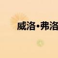 威洛·弗洛德（关于威洛·弗洛德简介）