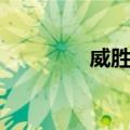 威胜军（关于威胜军简介）
