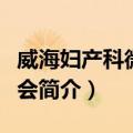 威海妇产科微创峰会（关于威海妇产科微创峰会简介）
