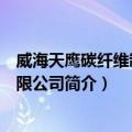威海天鹰碳纤维制品有限公司（关于威海天鹰碳纤维制品有限公司简介）