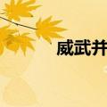 威武并昭（关于威武并昭简介）