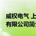 威权电气 上海有限公司（关于威权电气 上海有限公司简介）