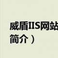 威盾IIS网站防火墙（关于威盾IIS网站防火墙简介）