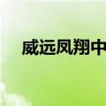 威远凤翔中学（关于威远凤翔中学简介）