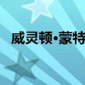 威灵顿·蒙特罗（关于威灵顿·蒙特罗简介）