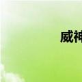 威神V（关于威神V简介）