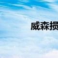 威森损失（关于威森损失简介）