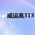 威运高31319（关于威运高31319简介）