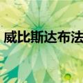 威比斯达布法罗（关于威比斯达布法罗简介）