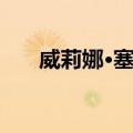 威莉娜·塞勒（关于威莉娜·塞勒简介）