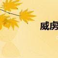 威虏卫（关于威虏卫简介）