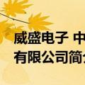 威盛电子 中国有限公司（关于威盛电子 中国有限公司简介）