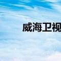 威海卫视网（关于威海卫视网简介）