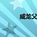威龙父子（关于威龙父子简介）