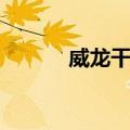 威龙干红（关于威龙干红简介）