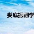 娄底振翩学校（关于娄底振翩学校简介）