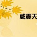 威震天下（关于威震天下简介）