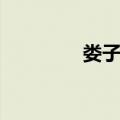 娄子匡（关于娄子匡简介）