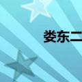 娄东二张（关于娄东二张简介）