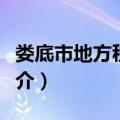 娄底市地方税务局（关于娄底市地方税务局简介）