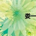 娄一晨（关于娄一晨简介）