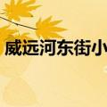 威远河东街小学（关于威远河东街小学简介）