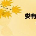 娄有辙（关于娄有辙简介）