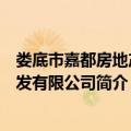 娄底市嘉都房地产开发有限公司（关于娄底市嘉都房地产开发有限公司简介）
