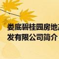娄底碧桂园房地产开发有限公司（关于娄底碧桂园房地产开发有限公司简介）