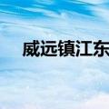 威远镇江东村（关于威远镇江东村简介）