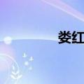 娄红卫（关于娄红卫简介）