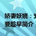 娇妻妖娆：宠她要趁早（关于娇妻妖娆：宠她要趁早简介）