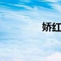 娇红记（关于娇红记简介）