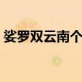 娑罗双云南个体（关于娑罗双云南个体简介）