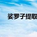 娑罗子提取物（关于娑罗子提取物简介）